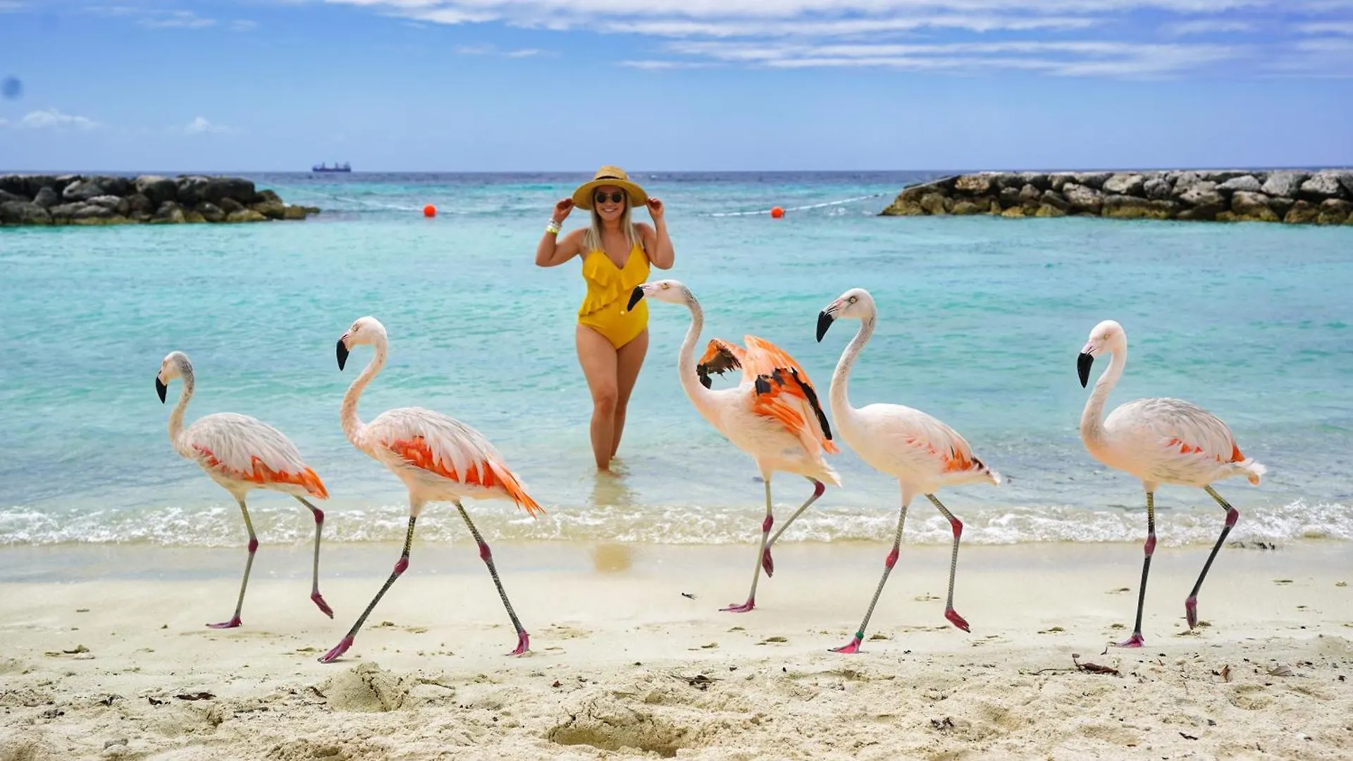 Aruba Breeze A6 Lägenhet Palm Beach