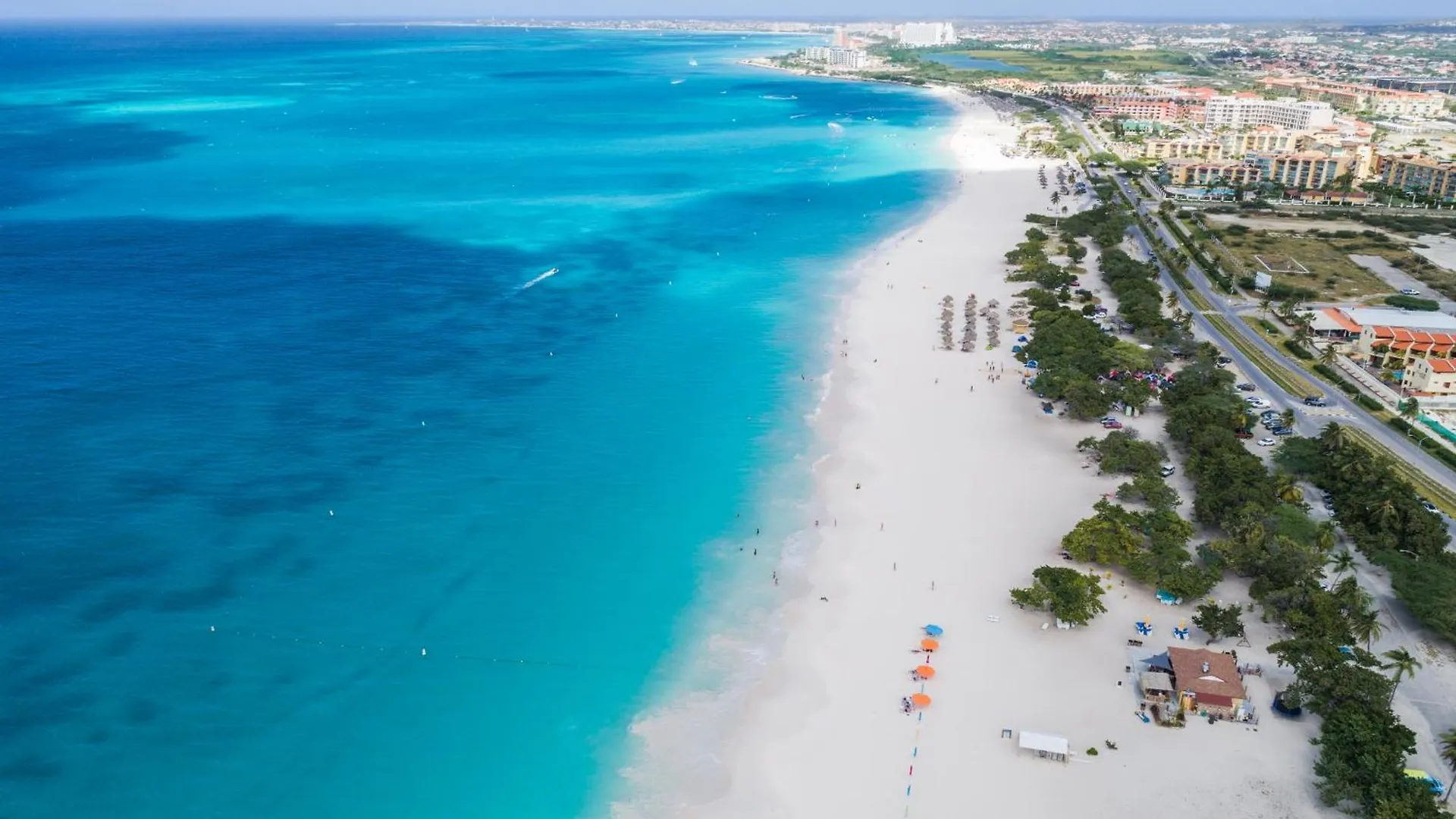Aruba Breeze A6 Lägenhet Palm Beach 0*,